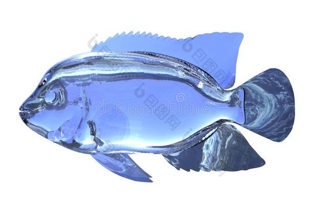 三维插图玻璃鱼分离在白色背景