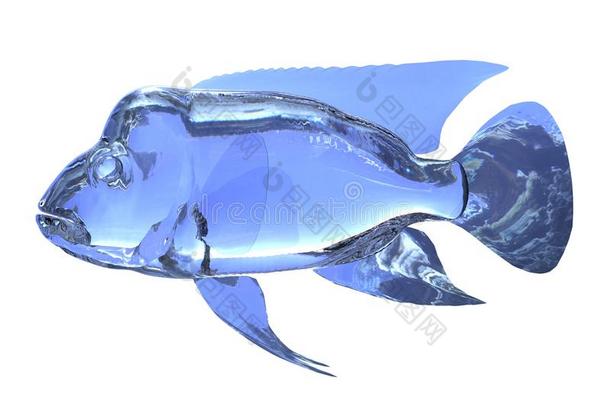 三维插图玻璃鱼分离在白色背景