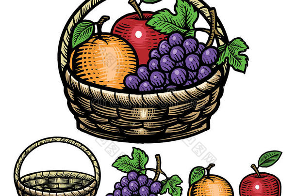 篮子里水果的手绘风格