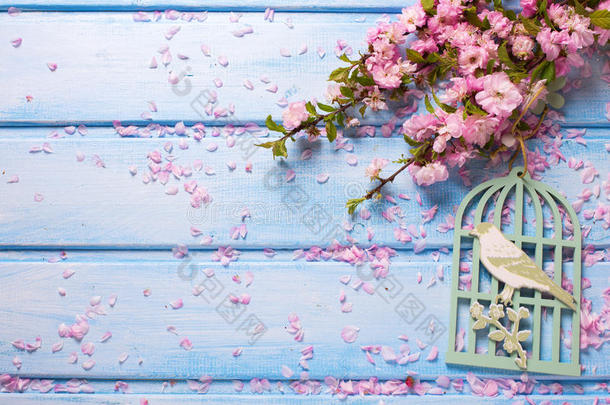 背景是蓝色木板上优雅的粉红色花朵