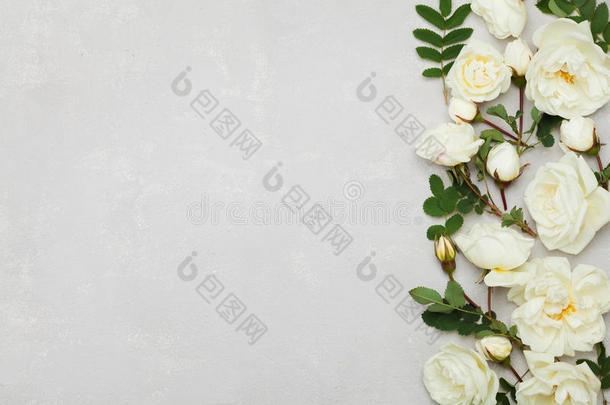 白色玫瑰花缘和绿叶在<strong>浅灰色背景</strong>上从上面，美丽的花型，平躺