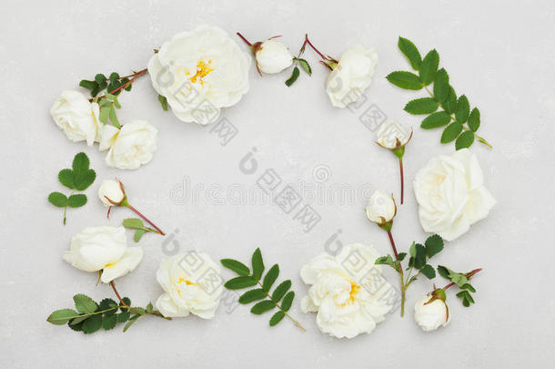 白色玫瑰花架和叶子在浅灰色背景上，美丽的花型，复古的颜色，平躺