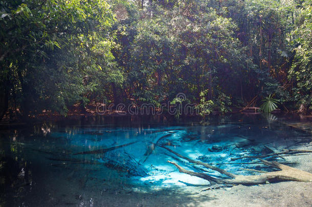 森林里的蓝色翡翠池塘