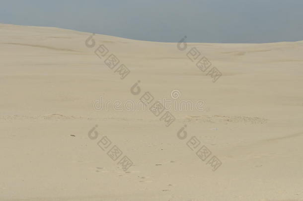 沙丘。 沙漠里的沙子。 莱辛斯基国家公园