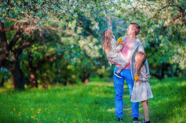 可爱的小女孩和年轻的父亲在盛开的樱桃园