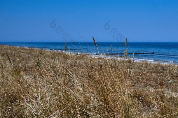 波罗的海海滩防波堤海岸沙丘