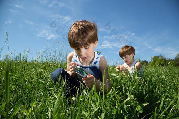 好奇的男孩用放大镜探索白色雏菊在绿色的田野在春天