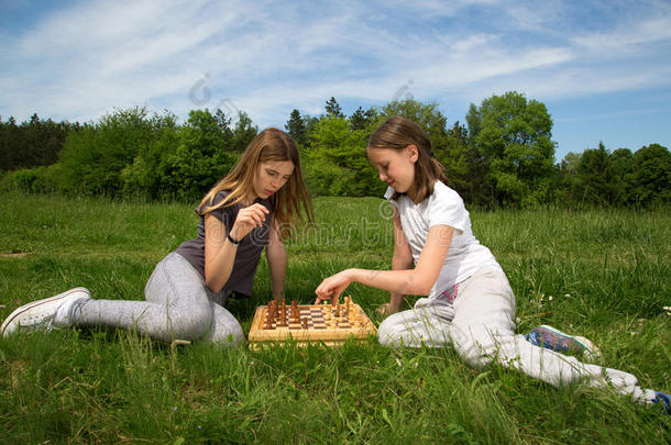 娱乐将死国际象棋棋盘聪明的