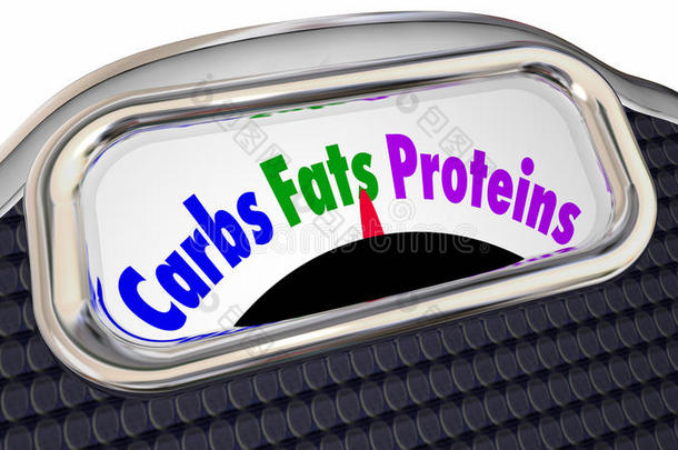 碳水化合物脂肪蛋白质单词量表吃聪明平衡的饮食