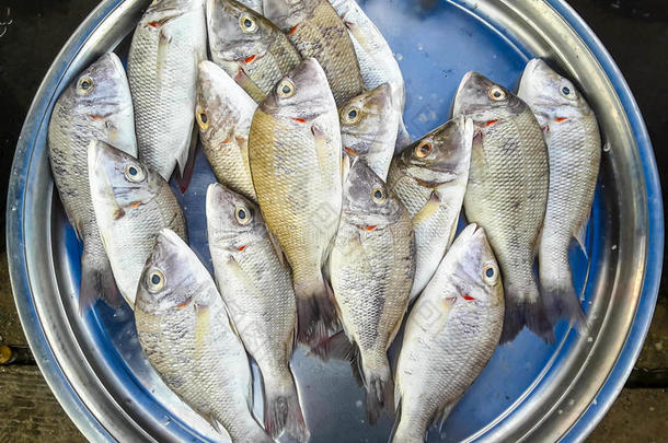 背景抓住特写镜头寒冷的烹饪