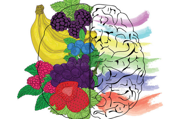 水果的概念有助于健康的大脑