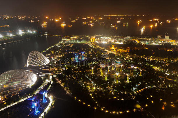 空中夜景的超级树树林在花园附近的码头湾与海洋的背景