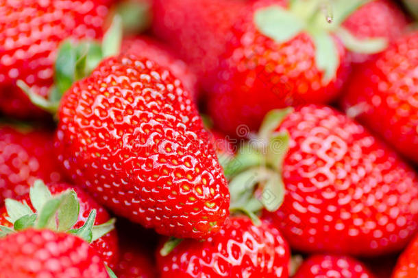 新鲜，成熟，甜蜜的完美草莓作<strong>为</strong>背景