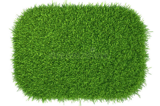 绿色的草。 自然背景纹理。 清新的春天绿草