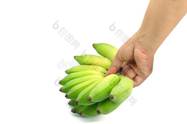 在分离的白色背景上<strong>培育</strong>香蕉