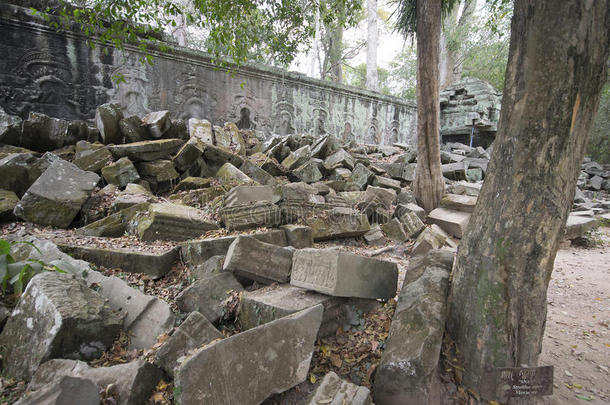 吴哥瓦特-塔普罗姆寺废墟墙的高棉城市吴哥窟遗址在柬埔寨-国家纪念碑