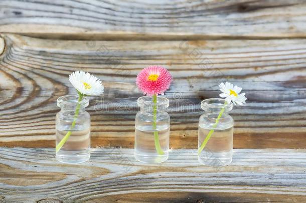 玻璃罐子里的花。 在玻璃瓶里的雏菊。 旧<strong>松木板</strong>的背景，具有明显的纹理