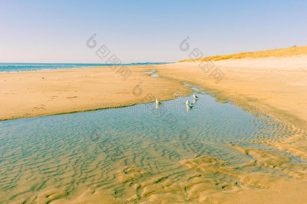 过滤效果海滩场景