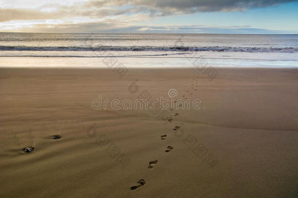 日落时<strong>沙滩上的脚印</strong>。 加那利群岛