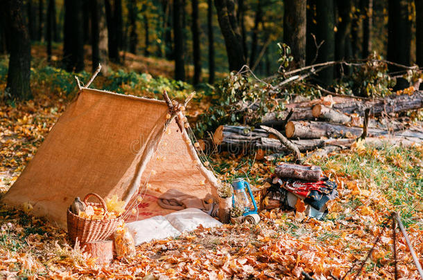 野营设备。 秋天森林里的帐篷。 蓝色的灯