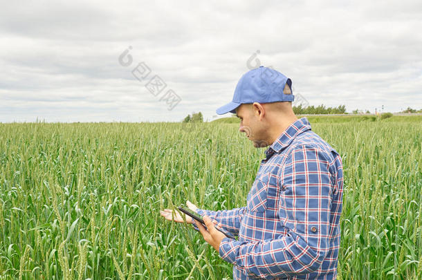 穿着格子衬衫的农民控制着他的田地看着平板电脑