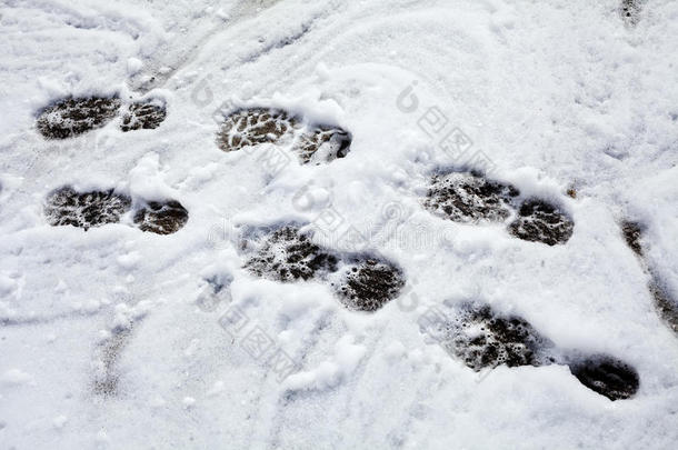 雪地里的脚步声