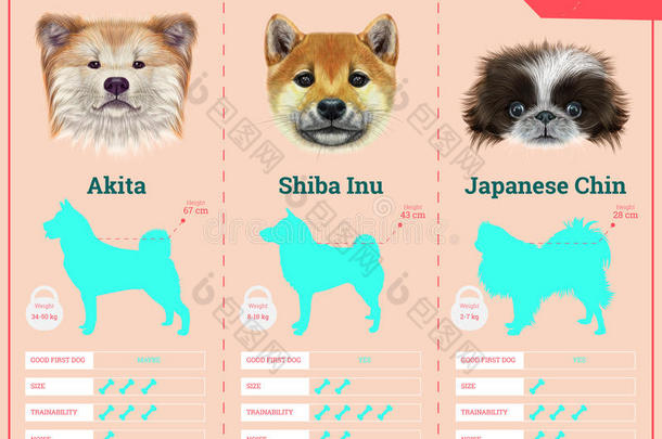 狗从日本繁殖狗品种的信息图表类型。