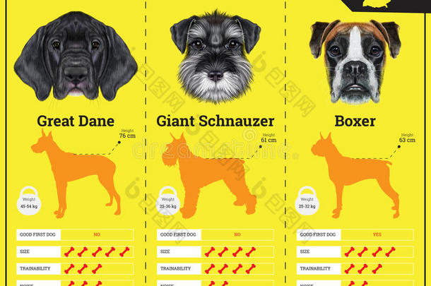 狗从德国繁殖狗品种的信息图表类型。