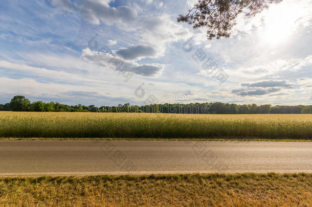 空旷的乡村道路-麦田背景和蓝天
