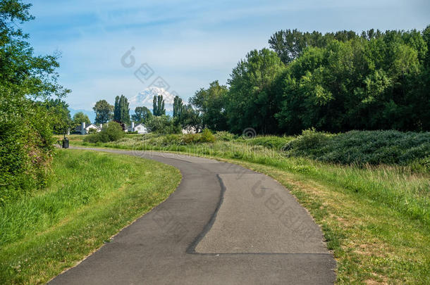 绿色家园肯特风景自然