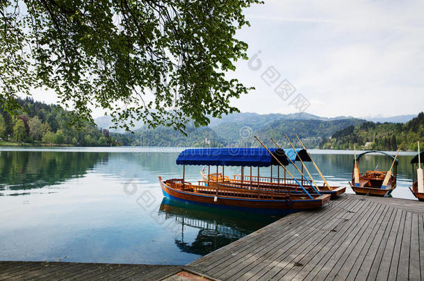 在流血湖上有惊人的景色。 斯洛文尼亚的春季或夏季。