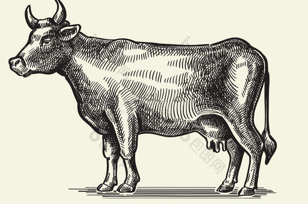 古代的动物艺术背景牛肉