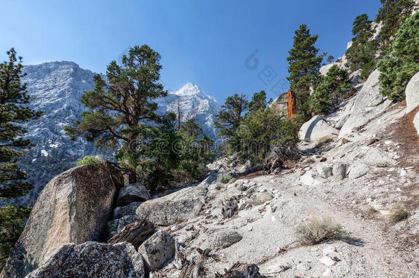 阿尔卑斯山和地区背包旅行美丽的