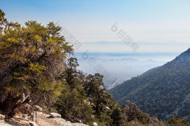 阿尔卑斯山和地区背包旅行美丽的