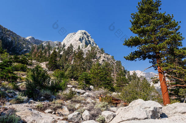 阿尔卑斯山和地区背包旅行美丽的