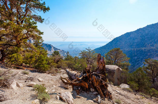 阿尔卑斯山和地区背包旅行美丽的