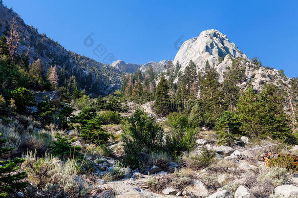 阿尔卑斯山和地区背包旅行美丽的