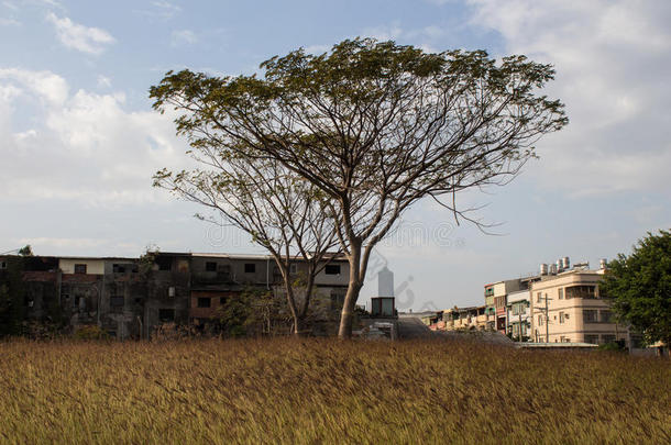 美丽的草地<strong>高雄</strong>风景公园