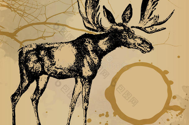 鹿，驼鹿水彩画设计模板矢量图像