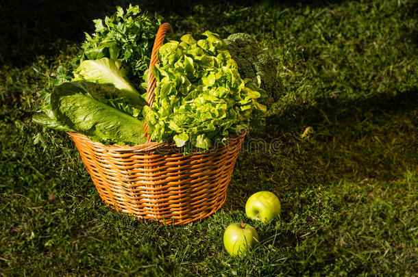 一篮子绿色蔬菜在自然背景上