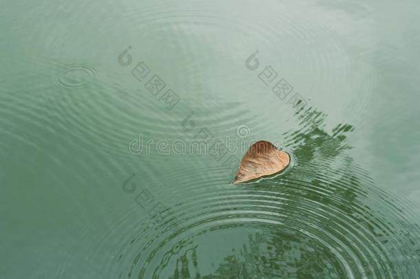 水纹背景