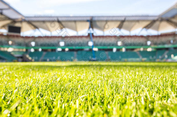 在阳光明媚的日子里，现代体育场的绿草