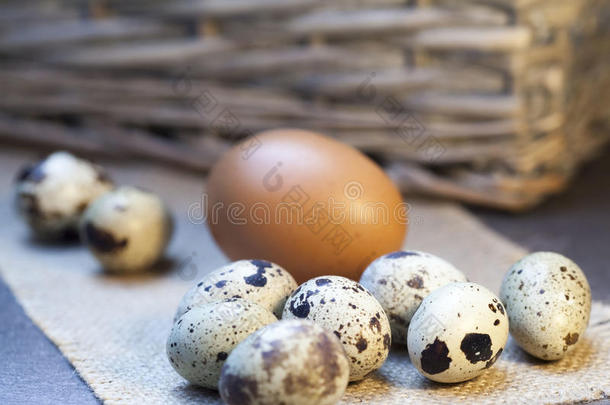 鹌鹑蛋和鸡蛋。