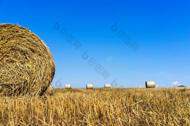 麦收后堆放<strong>草垛</strong>的农田