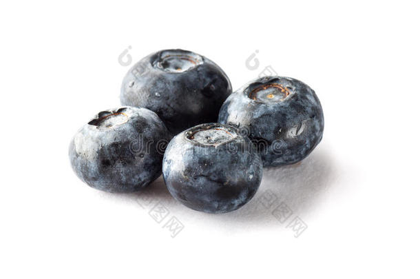 新鲜<strong>采摘</strong>的<strong>蓝莓</strong>在孤立的背景。