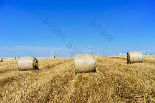 麦收后堆放<strong>草垛</strong>的农田