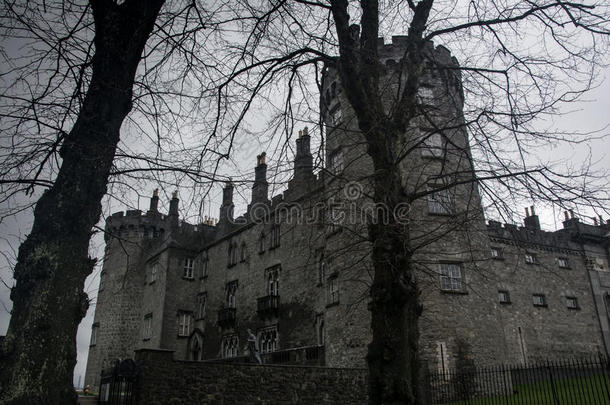 古老的<strong>黑暗幽灵</strong>城堡在爱尔兰基尔肯尼