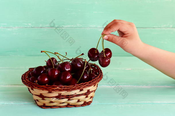 孩子从篮子里得到三个樱桃。 篮子里新鲜的甜水果。