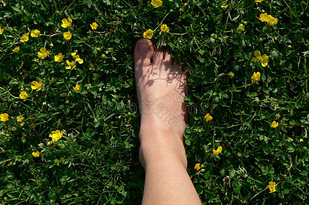 脚踩在绿色的草地上
