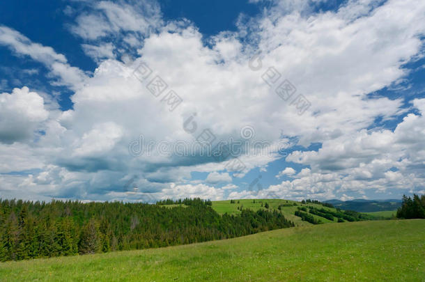 乡村风景上的绿色草坪，天空上有云